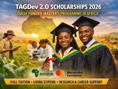 Master's Scholarships for African Students